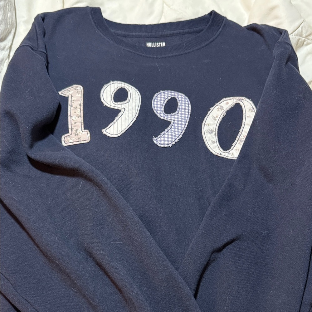 Hollister Dark Blue 1990 Graphic Sweatshirt